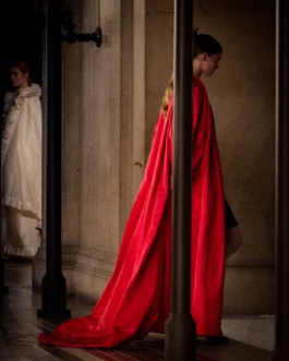 At the Opera Garnier Paris 