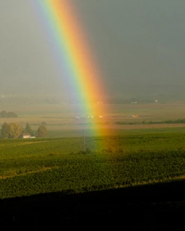 A Rainbow — photo Mathieu Bonnin 